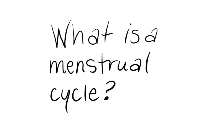 What is a Menstrual Cycle?
